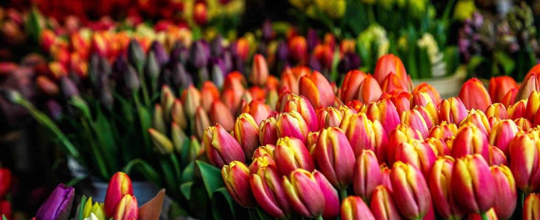 Mercado de flores