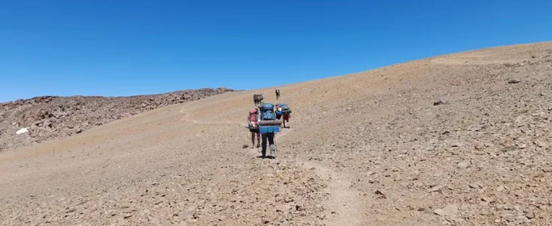 sendero-cordillera-los-andes-conicet-idevea-1