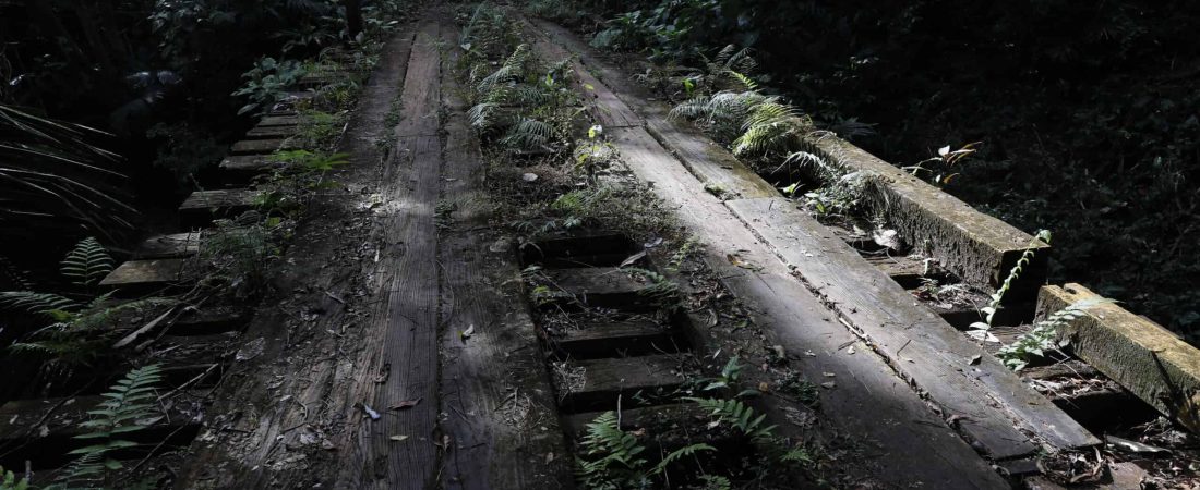 Panamá lanzó "1.000 kilómetros de Senderos", un proyecto de turismo verde para reactivar la economía