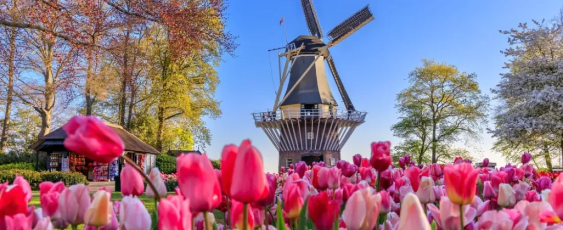 shutterstock_2156786217-scaled