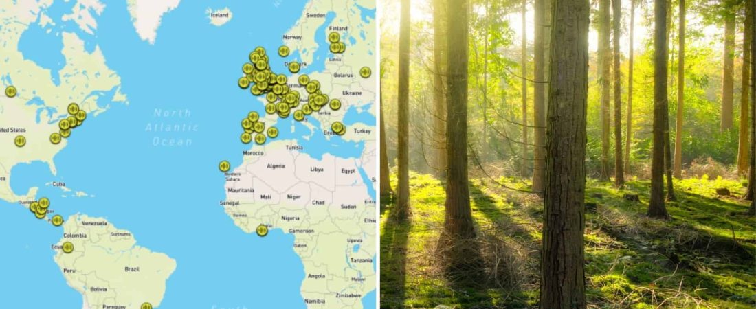 Sounds of the Forest: un mapa interactivo te permite escuchar sonidos de bosques de alrededor del mundo