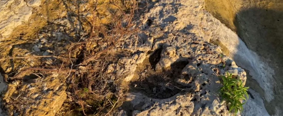 still-21850342-20496-358-still-20250810135016051