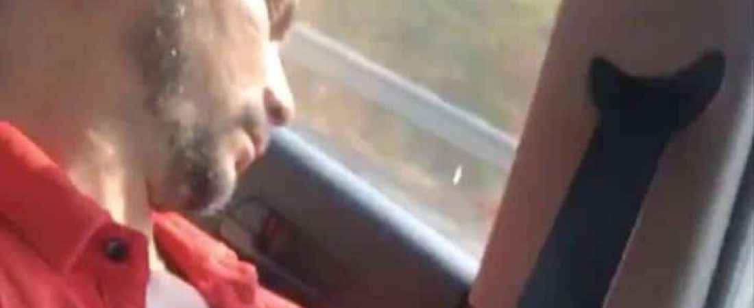 thumbnail (4)