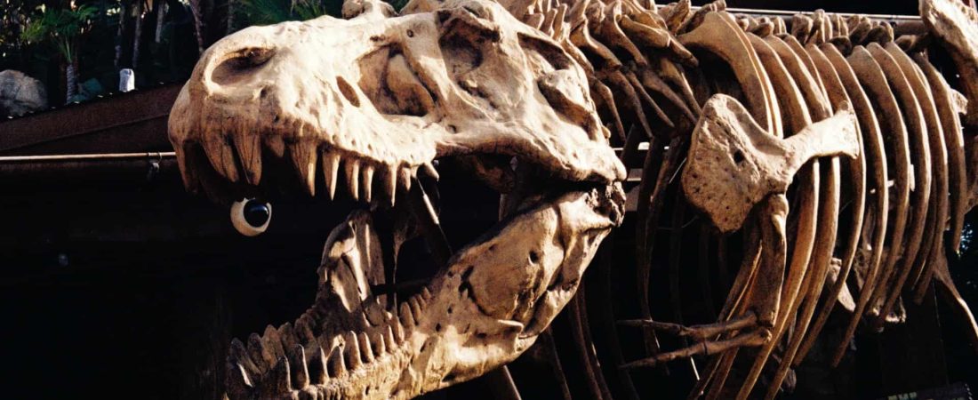 Un nuevo estudio reveló que la Tierra estuvo habitada por un total de 2.5 mil millones de tiranosaurios rex