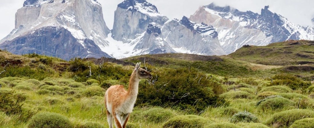 torres-del-paine-2