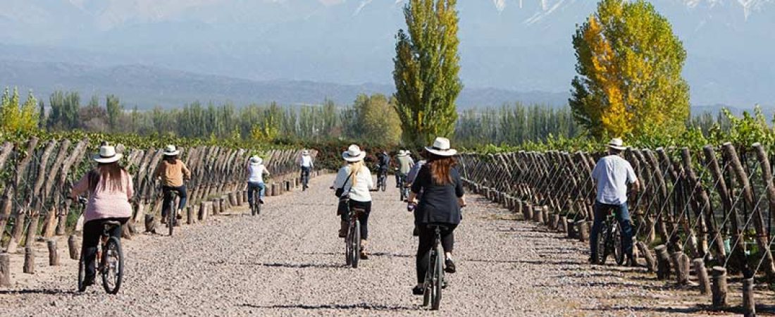 tour-de-bodegas-en-mendoza-en-bicicleta-2