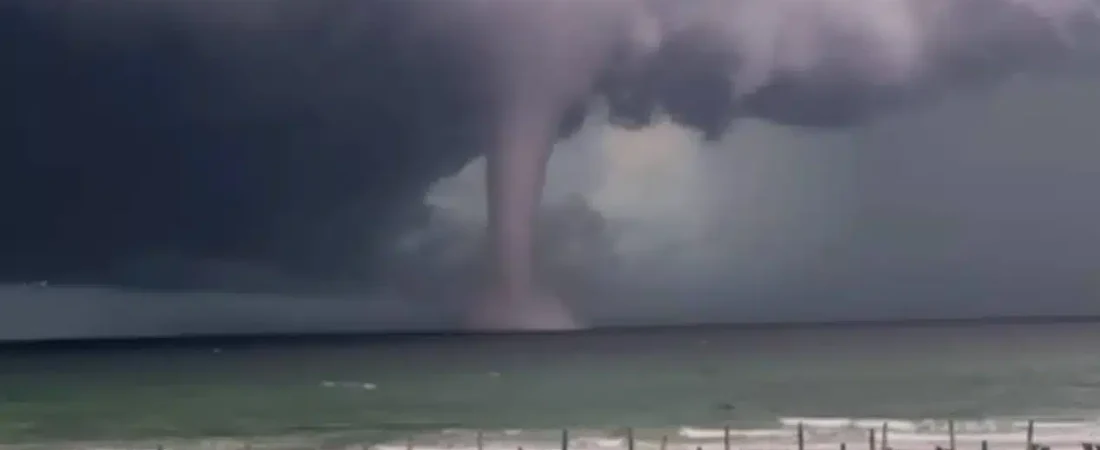 tromba-marina-miamijpg