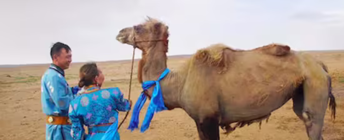 tuvo-que-caminar-cerca-de-100-kilometros-a-traves-KHHICAN4CRGAROXQ6ISWSUBRI4