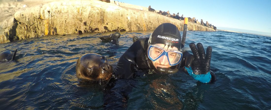 snorkel lobos puerto madryn