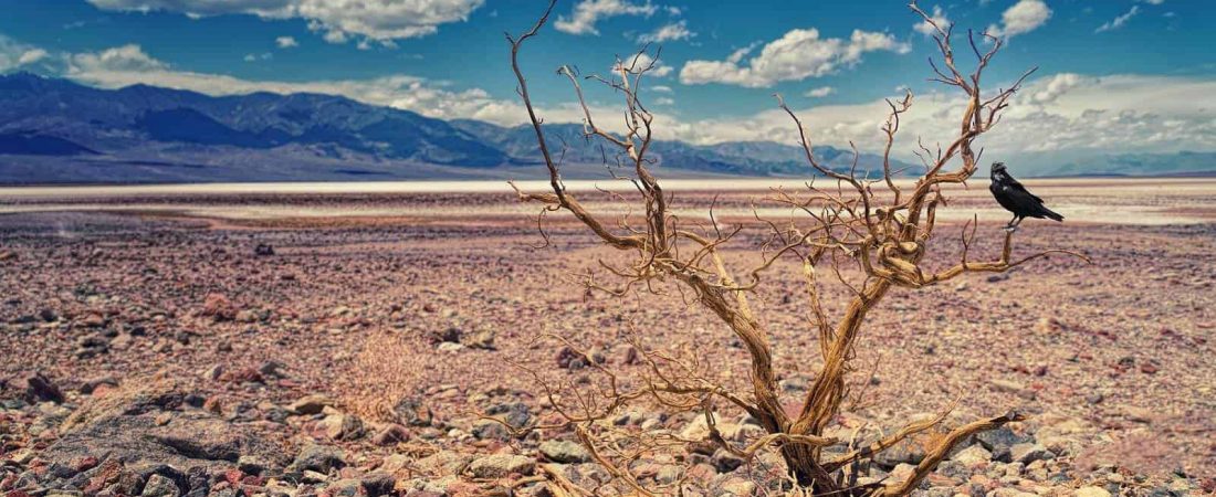 Récord de temperaturas en el valle de la muerte