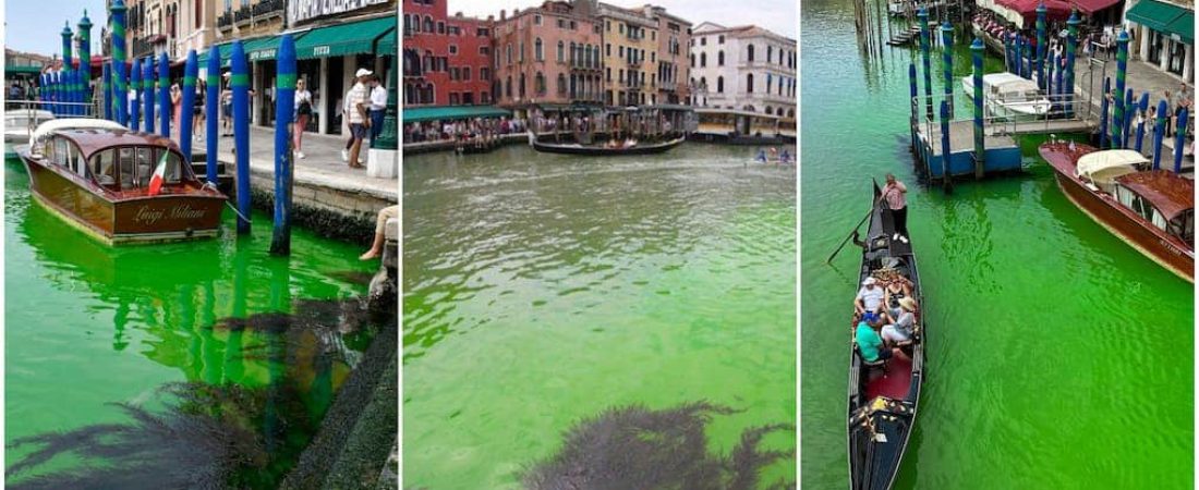 venecia se tiñe de verde (1)