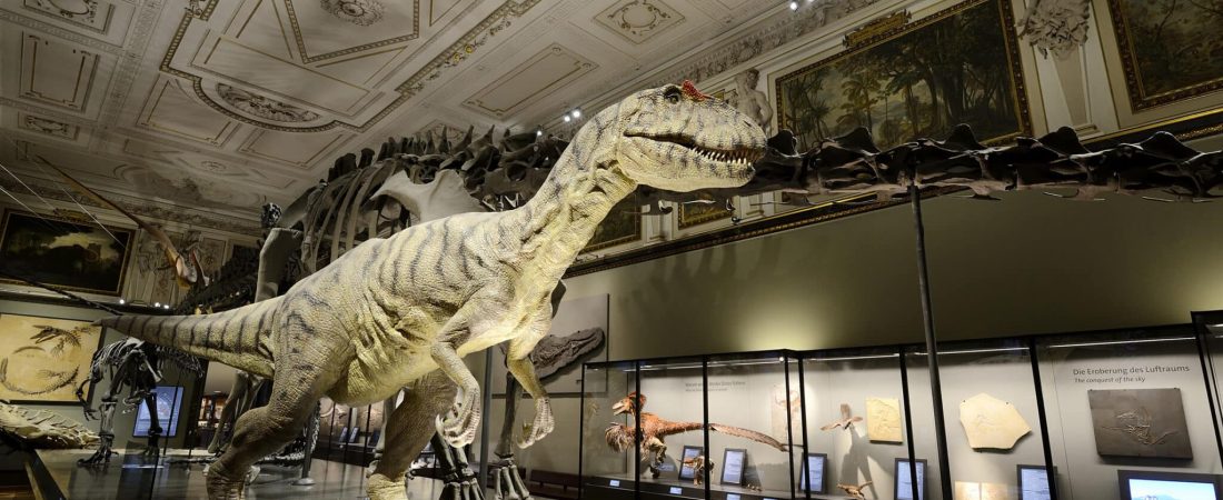 BILD zu OTS - Dinosauriersaal NHM Wien