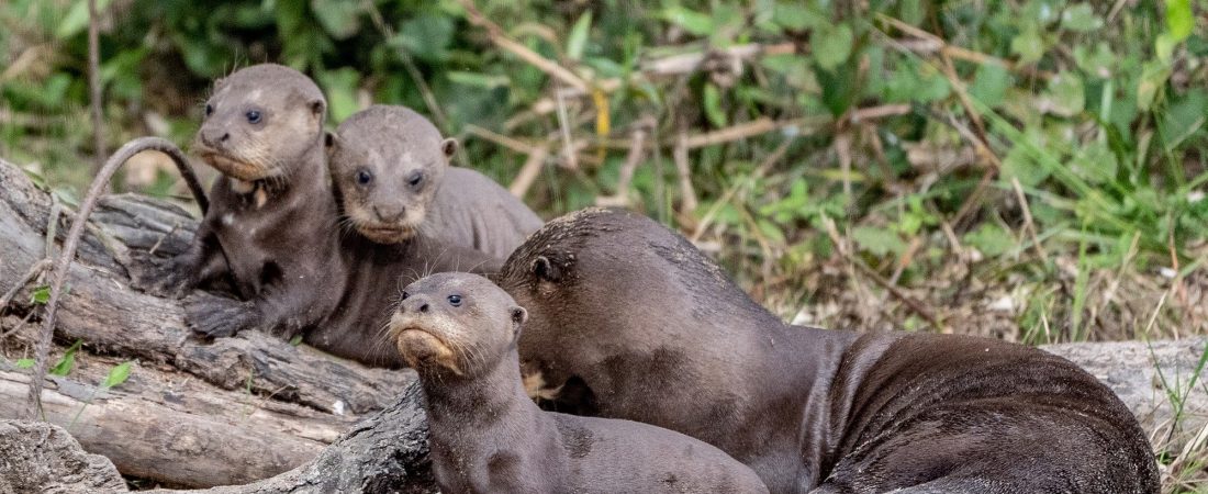 vmd7Qs5El_2000x1500__1