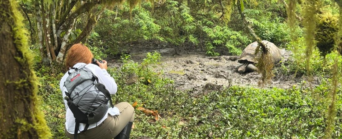 whatsapp-image-2025-10-29-at-15251-pm-1