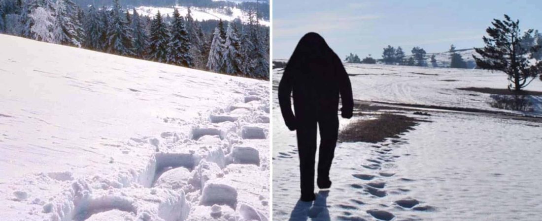 Un político de Rusia admitió que crearon un Yeti falso para atraer turistas a Siberia