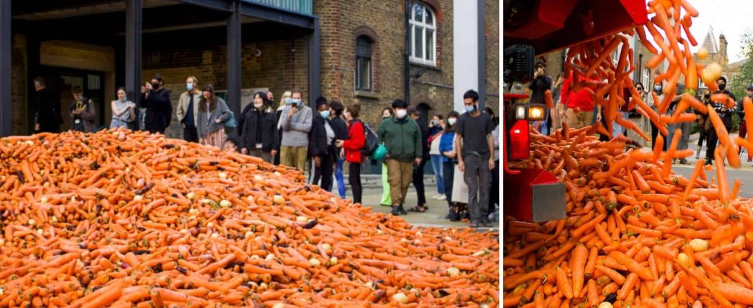 Un estudiante de arte tiró alrededor de 240000 zanahorias en una calle de Londres como parte de una muestra