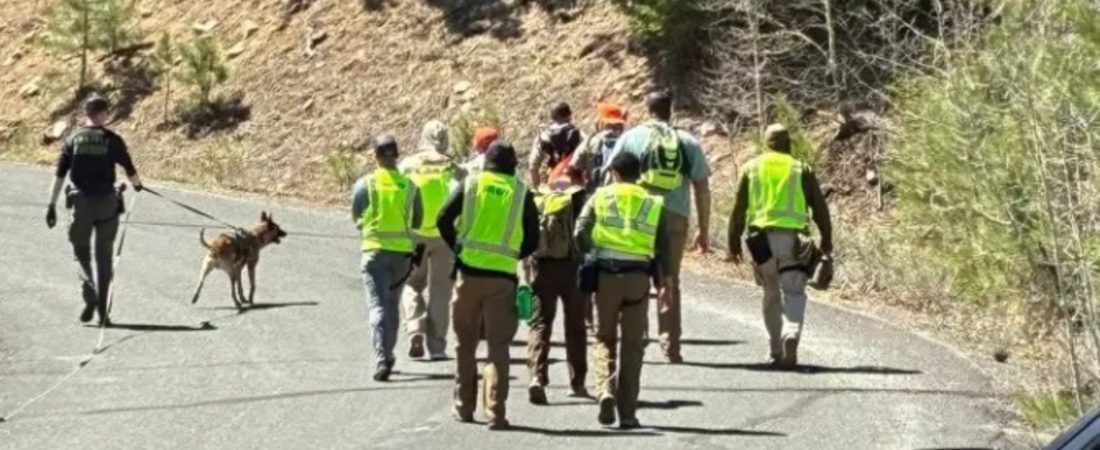 zd_vLL-1l_2000x1500__1