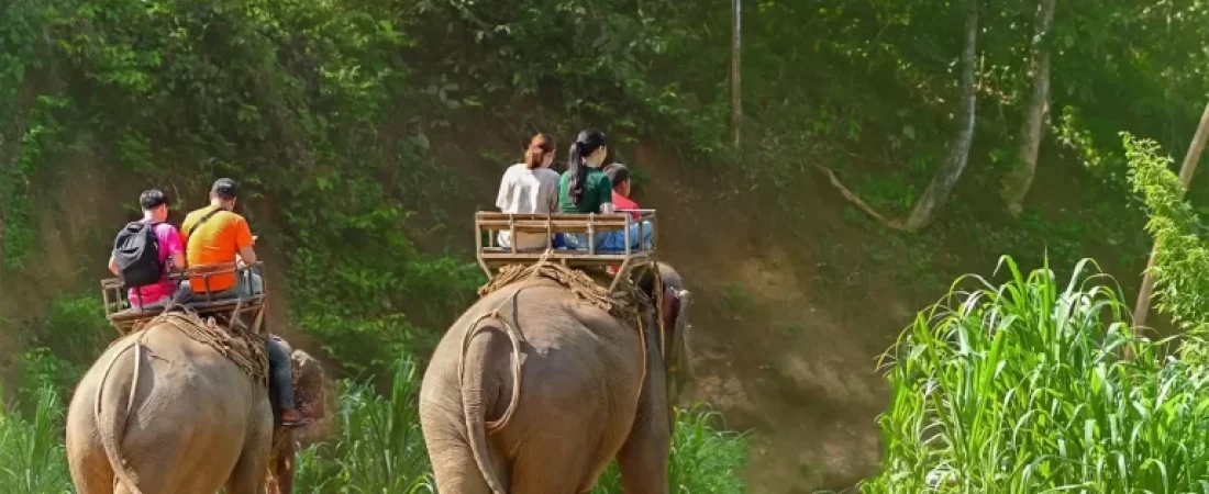 zgXFVL3DcWCdCjMRuuHY2Udwg9k-768x480